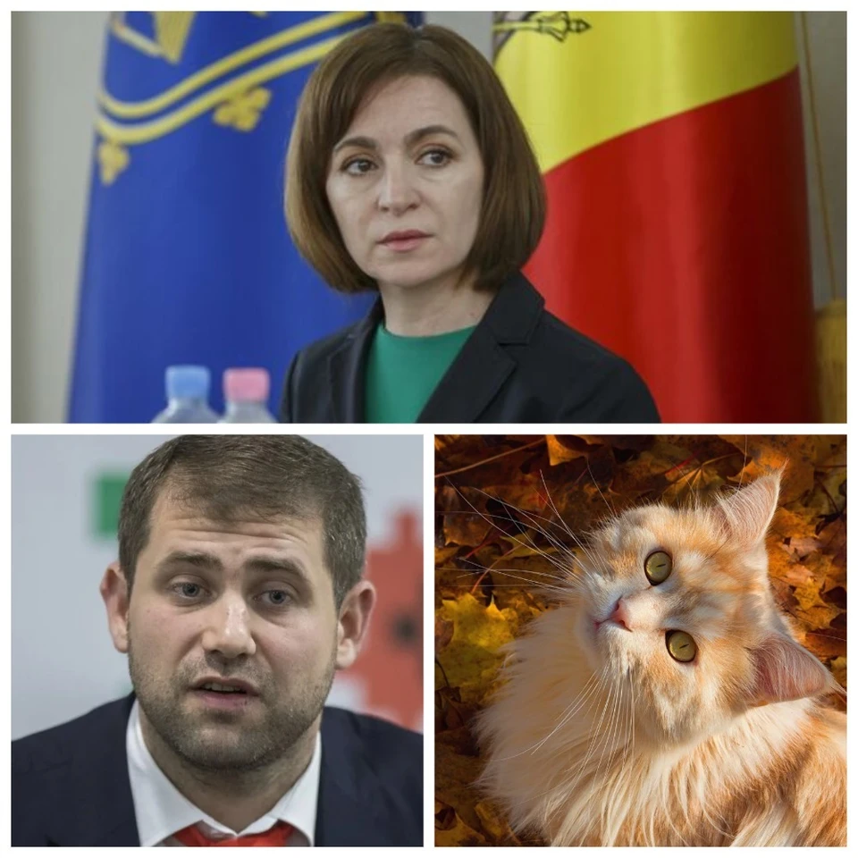 Главные новости в Молдове.