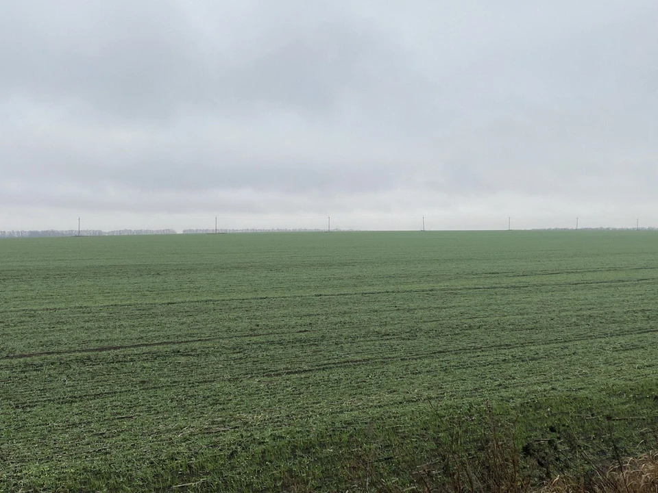 Фото: Россельхозцентр