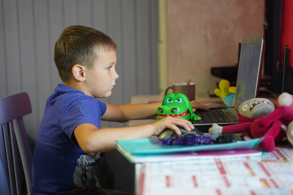 Детей отправляют на дистанционное обучение.