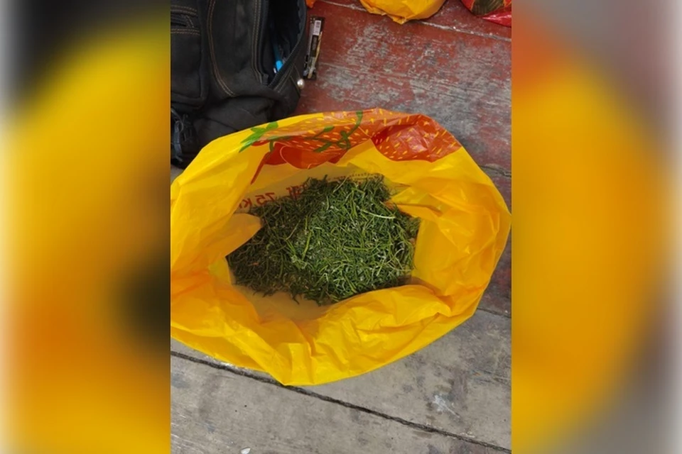 Пакеты с наркотиками хранил житель Акимовского округа. Фото: ГУ МВД России по Запорожской области