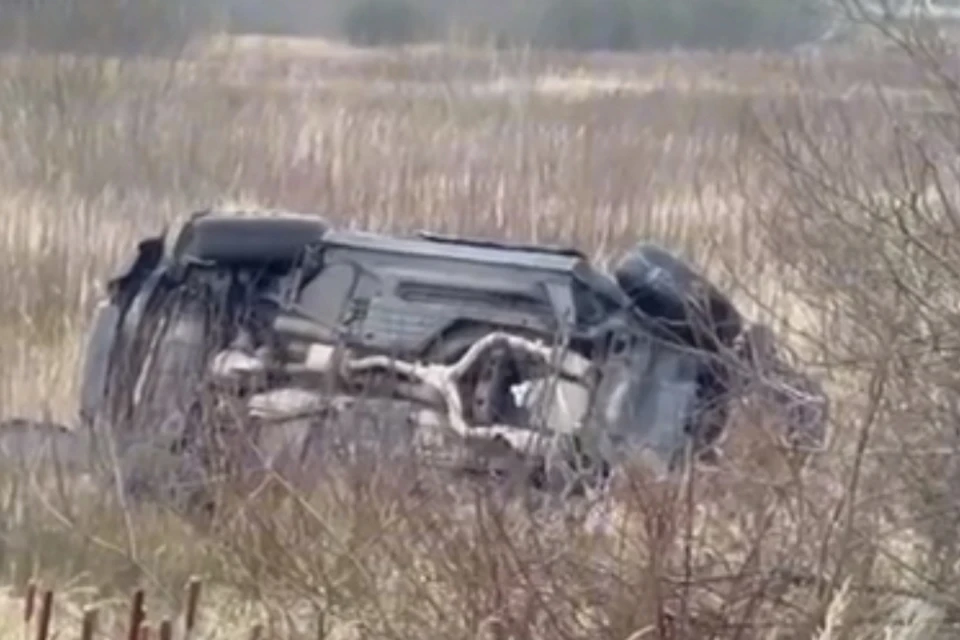 Фото: скриншот видео Госавтоинспекции Брянской области.