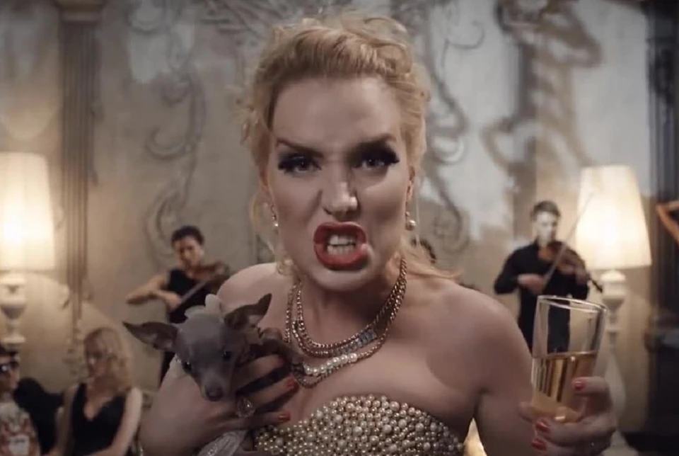 Матильда стала звездой клипа на песню "Сумка". Фото: кадр из клипа группы "Ленинград"