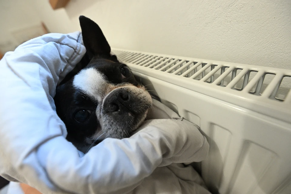 8 декабря в некоторых домах Иркутска не будет отопления