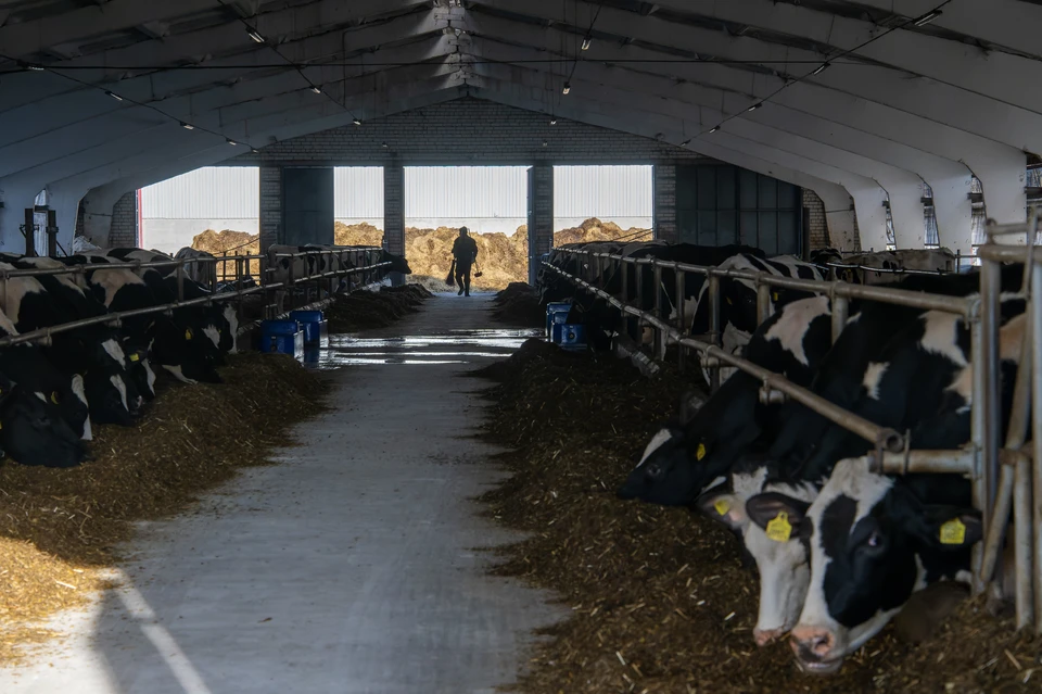 Семь новых резидентов усилили производство в Якутии — их стало 18