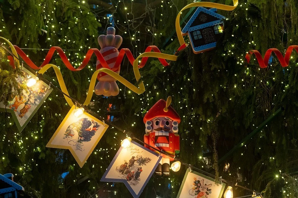 Эксперт по ЖКХ Бондарь: за покупку живой елки с рук может грозить штраф