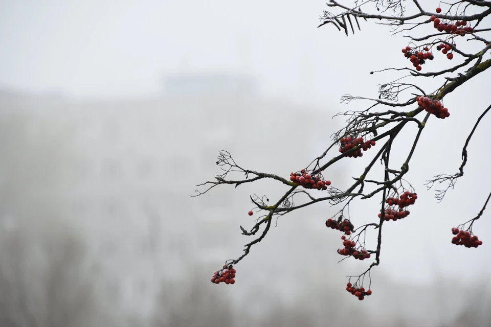 Ставропольцев просят быть внимательными на дорогах из-за гололеда и тумана.
