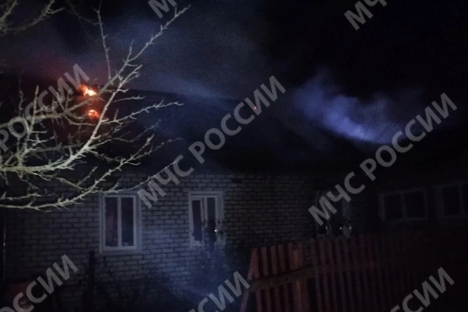 Фото: прес-сслужба ГУ МЧС России по Брянской области.