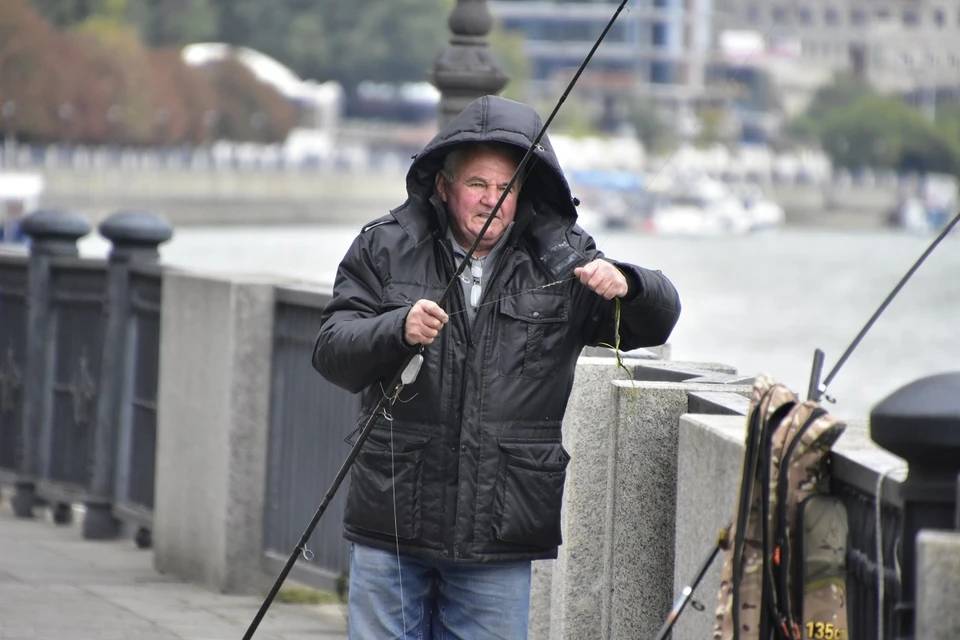 Хоть шемая и часто попадается на крючок рыбаков, ловить ее пока нельзя.