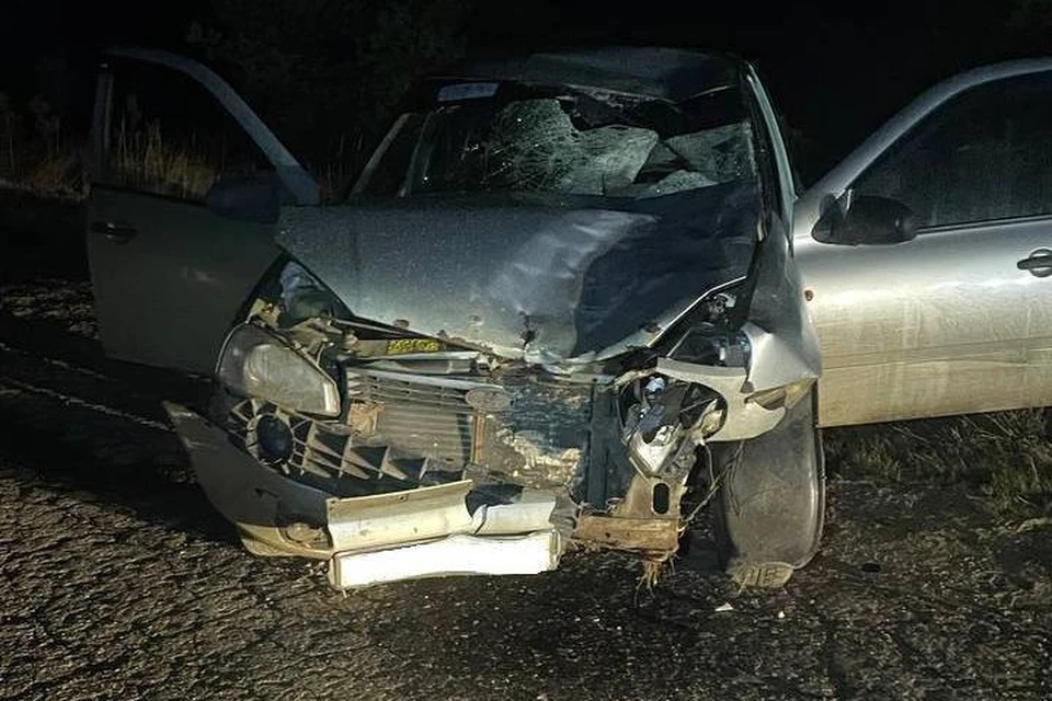 Пьяный водитель без прав сбил насмерть девочку и ее отца в Рязанской области