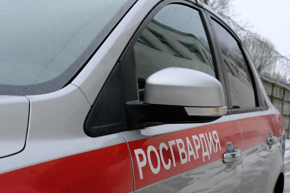 Группы задержания вневедомственной охраны находятся в постоянной готовности. Фото: Росгвардия Тверской области.