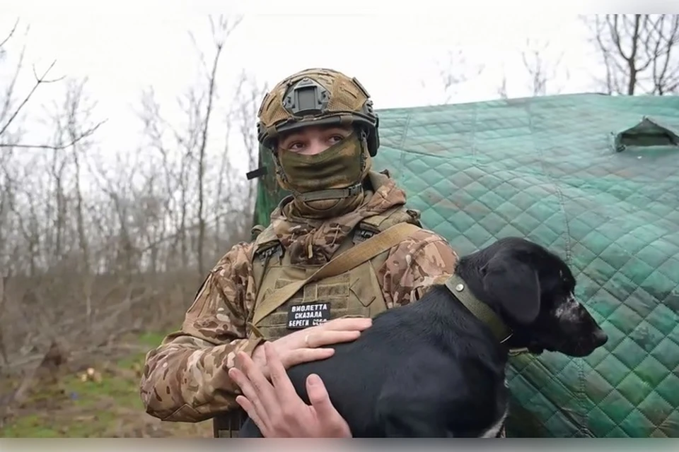 Бублик напоминает бойцам о питомцах, ждущих дома. Фото: Народный фронт Запорожской области