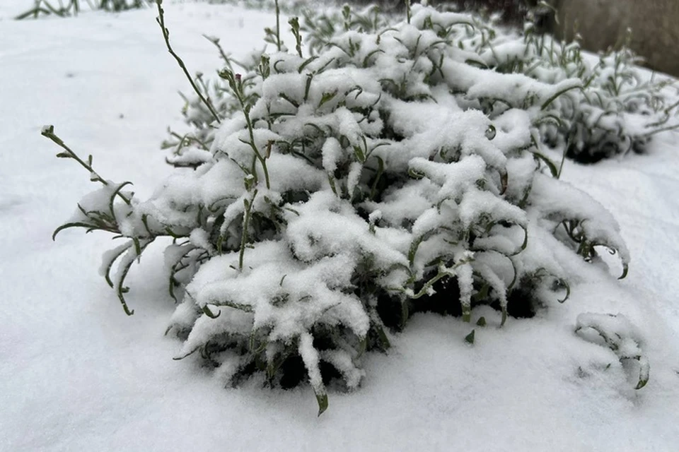 Первый снег в Луганске