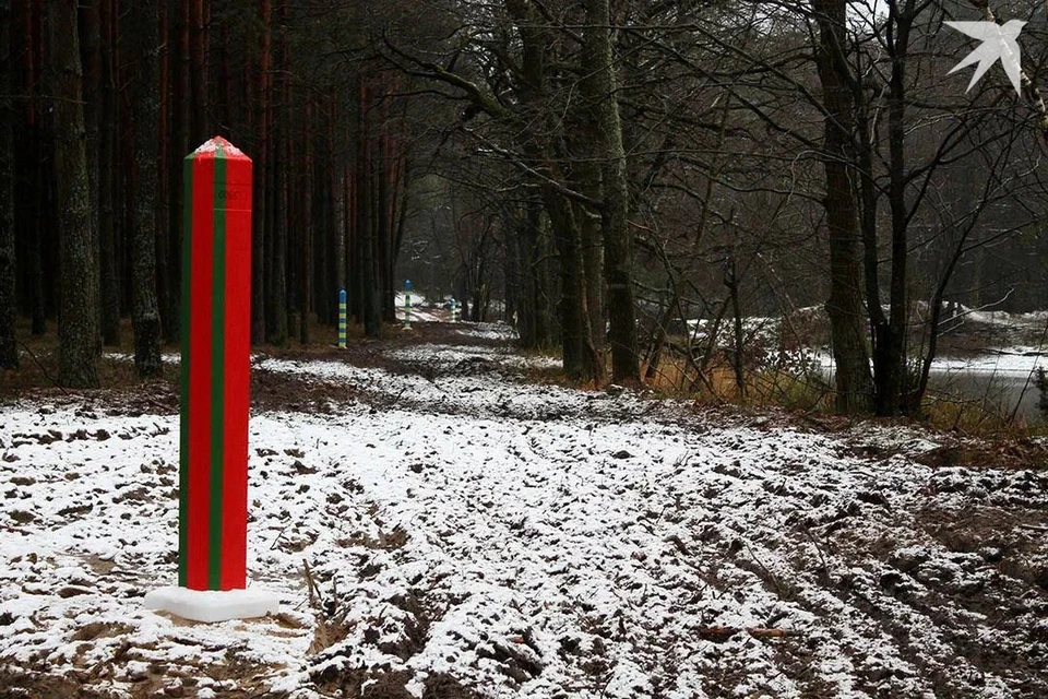 Лукашенко сказал, что происходит на границе Беларуси и Украины. Снимок носит иллюстративный характер.