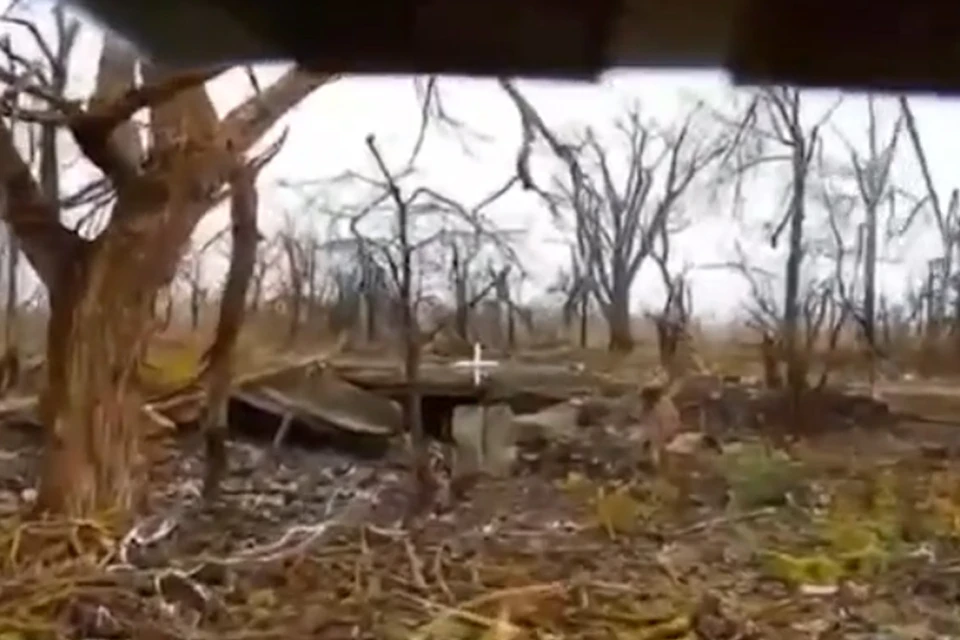 Фото: скриншот из видео Минобороны РФ