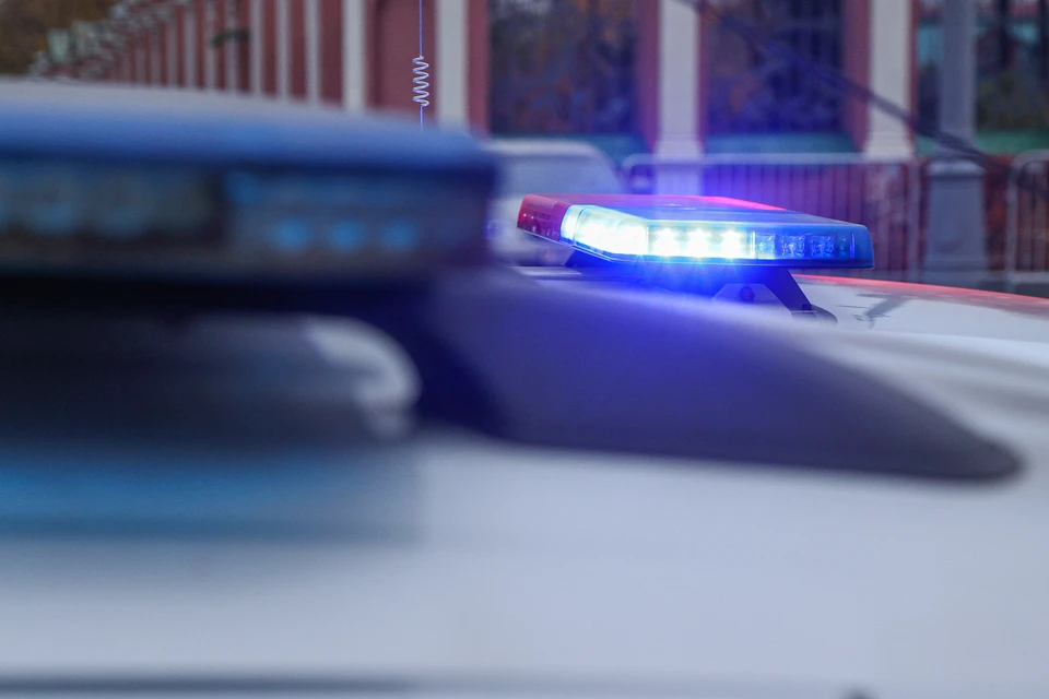 RMF24: российского ученого из Эрмитажа задержали в Польше по требованию Украины