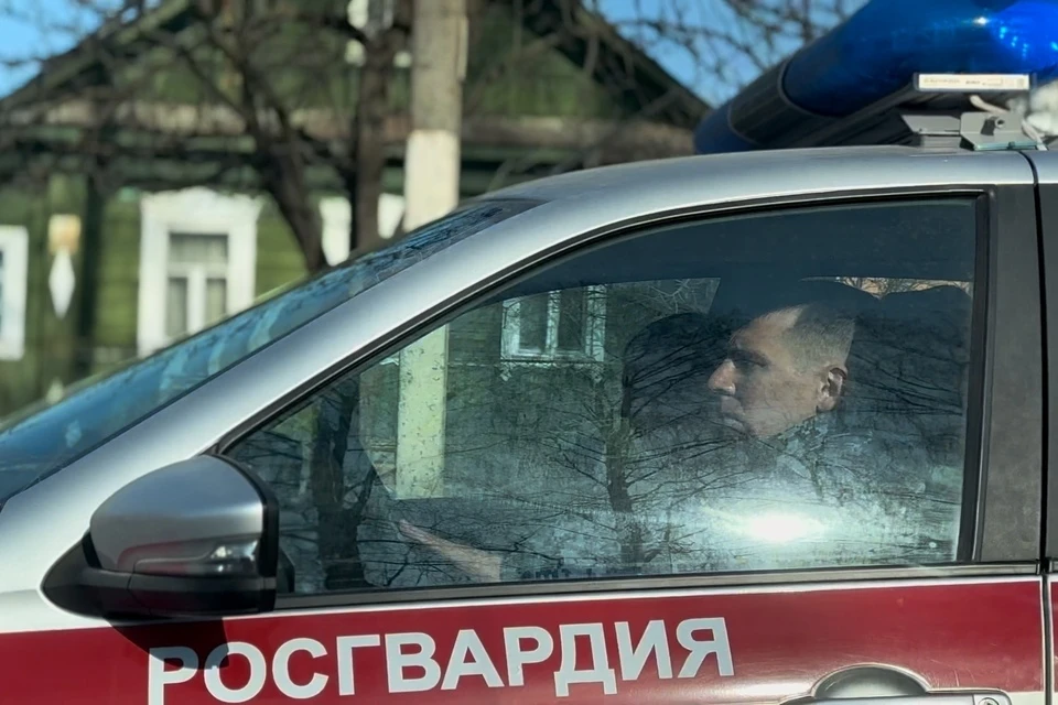 Экипажи вневедомственной охраны пресекли более 20 правонарушений. Фото: Росгвардия Тверской области.