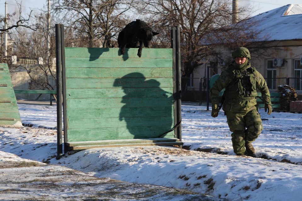 В Ростовской области завершилась подготовка кинологических расчетов для зоны СВО