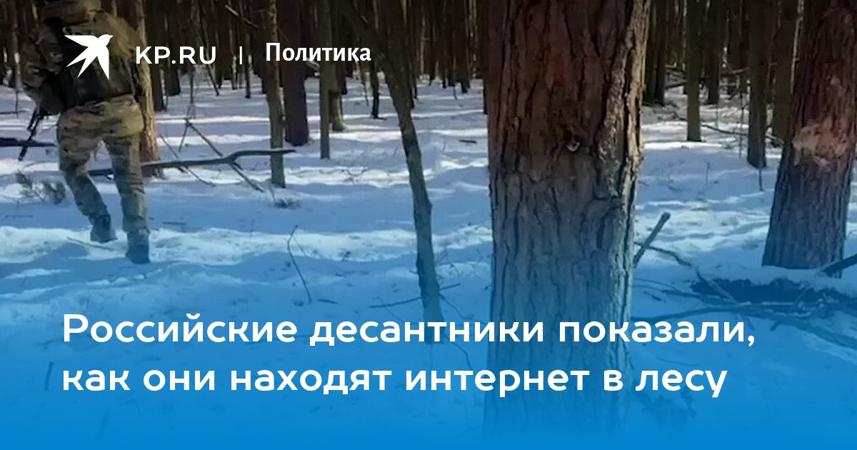 Российские десантники показали, как они находят интернет в лесу
