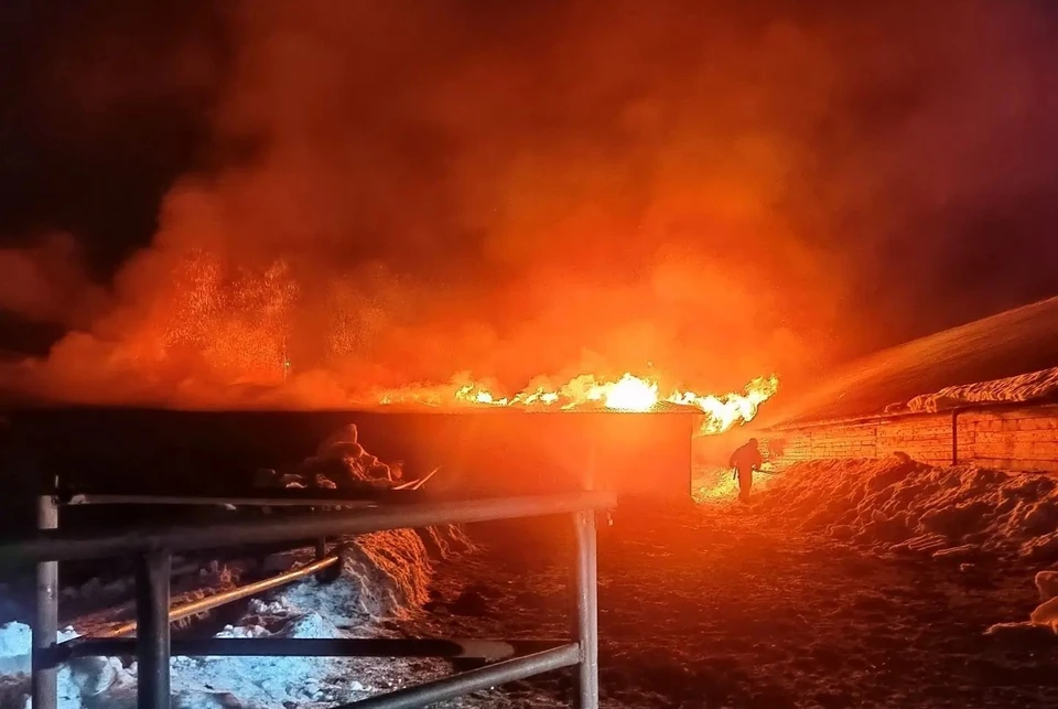 Фото: пресс-служба ГУ МЧС по Кировской области