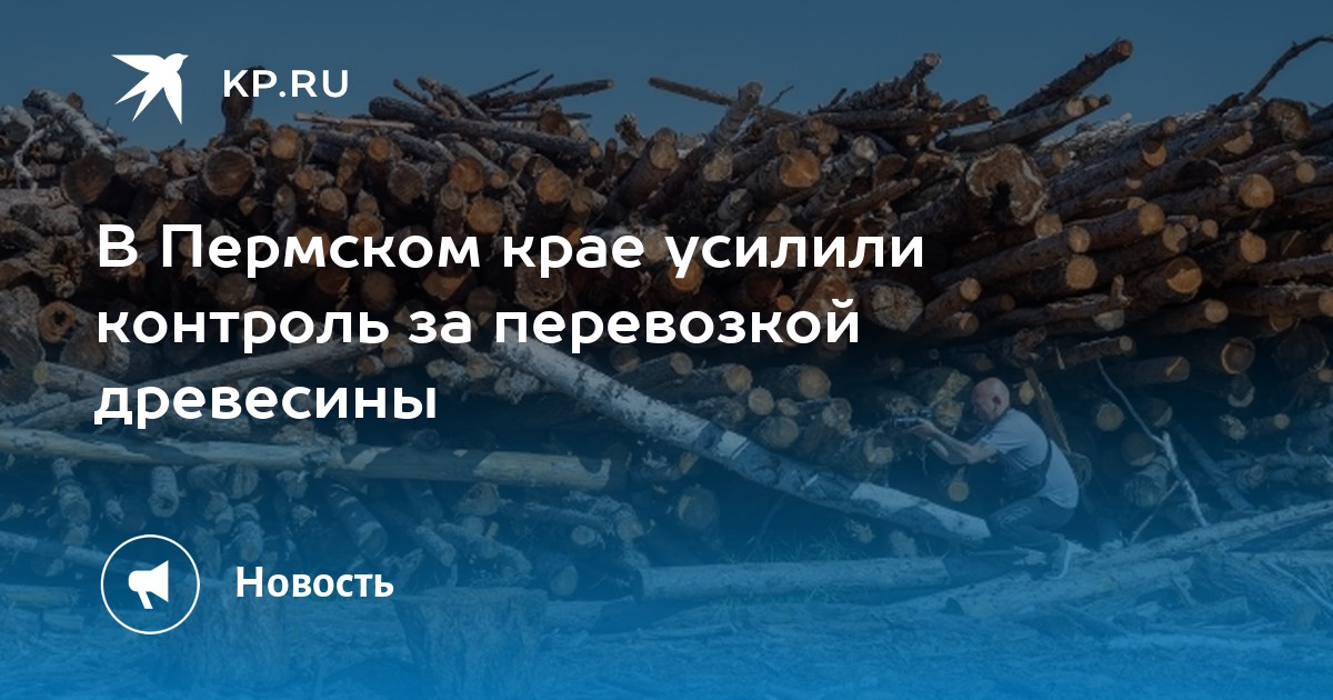 В Пермском крае усилили контроль за перевозкой древесины