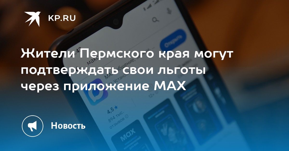 Жители Пермского края могут подтверждать свои льготы через приложение MAX