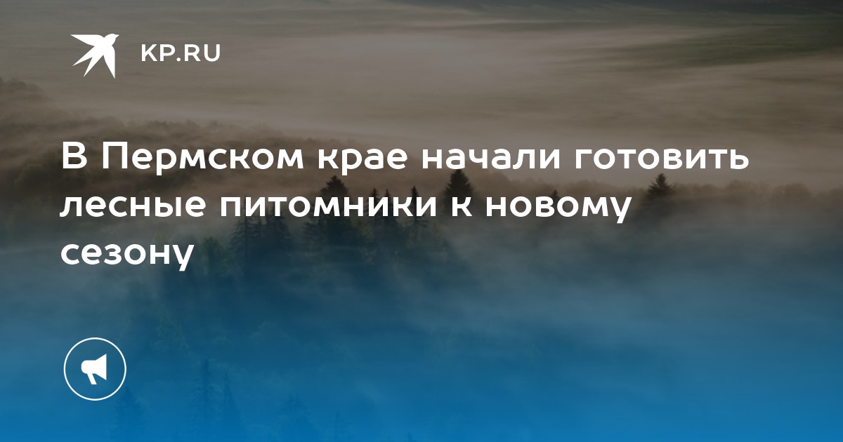 В Пермском крае начали готовить лесные питомники к новому сезону