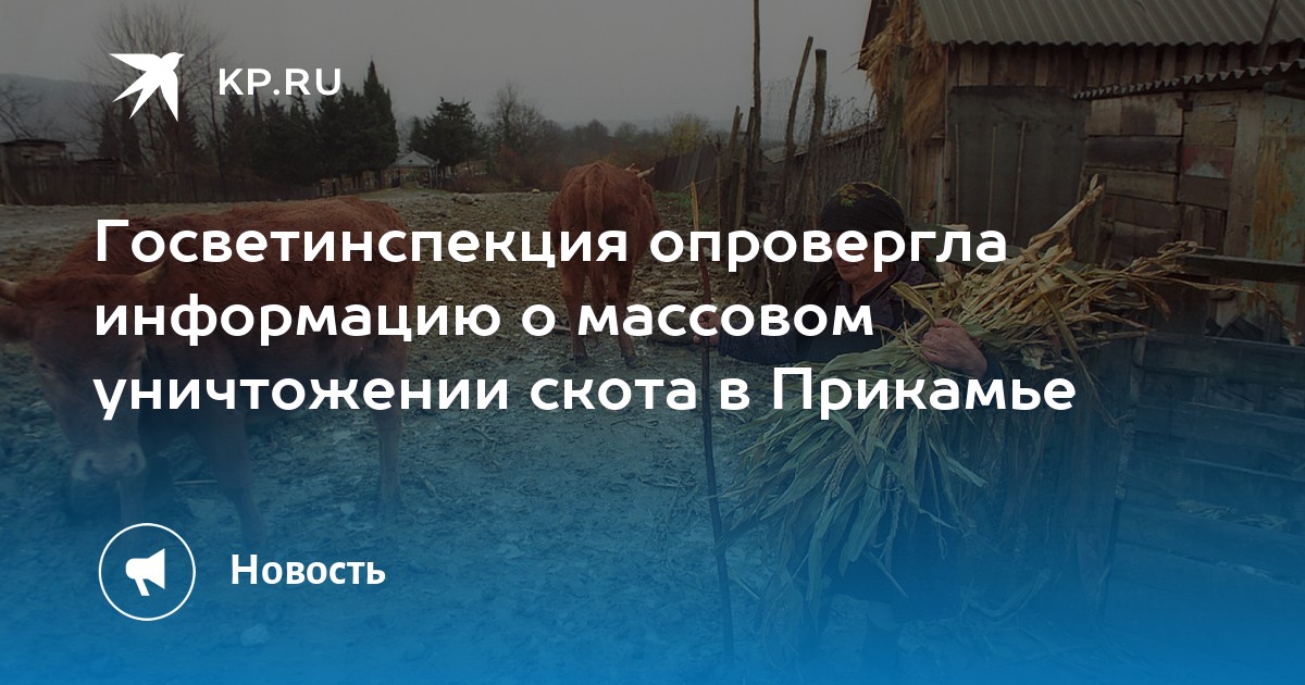 Госветинспекция опровергла информацию о массовом уничтожении скота в Прикамье