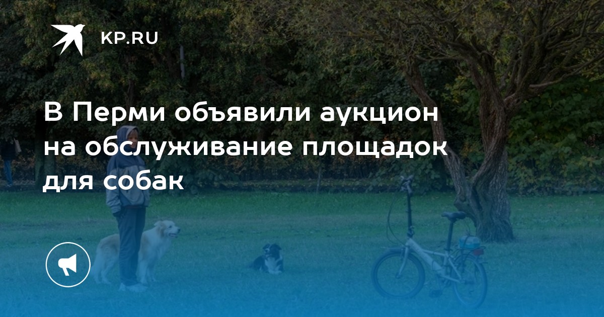 В Перми объявили аукцион на обслуживание площадок для собак