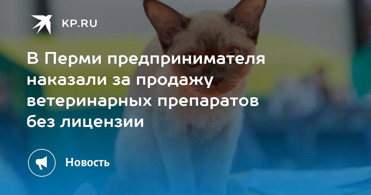 В Перми предпринимателя наказали за продажу ветеринарных препаратов без лицензии