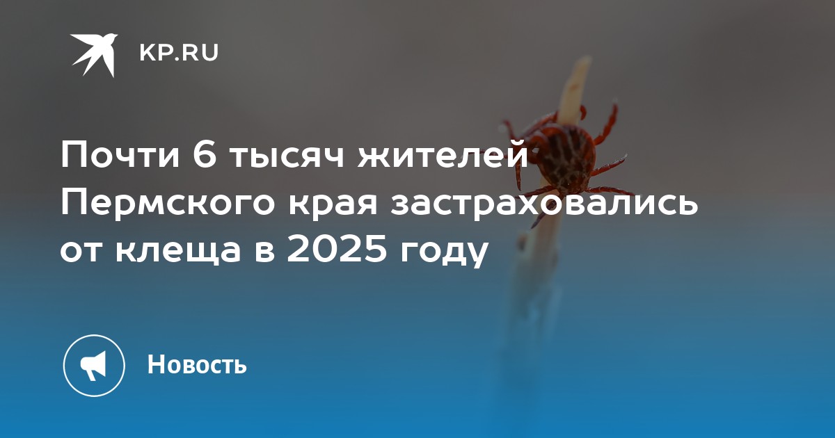 Почти 6 тысяч жителей Пермского края застраховались от клеща в 2025 году
