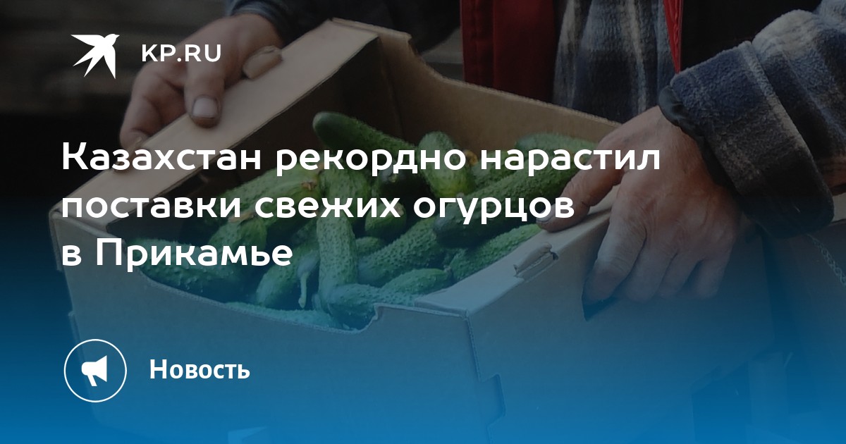 Казахстан рекордно нарастил поставки свежих огурцов в Прикамье