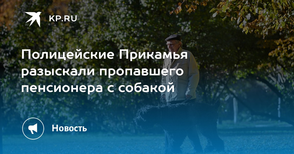 Полицейские Прикамья разыскали пропавшего пенсионера с собакой