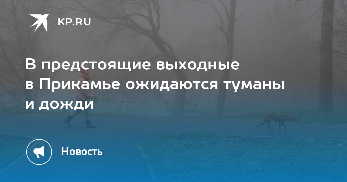 В предстоящие выходные в Прикамье ожидаются туманы и дожди