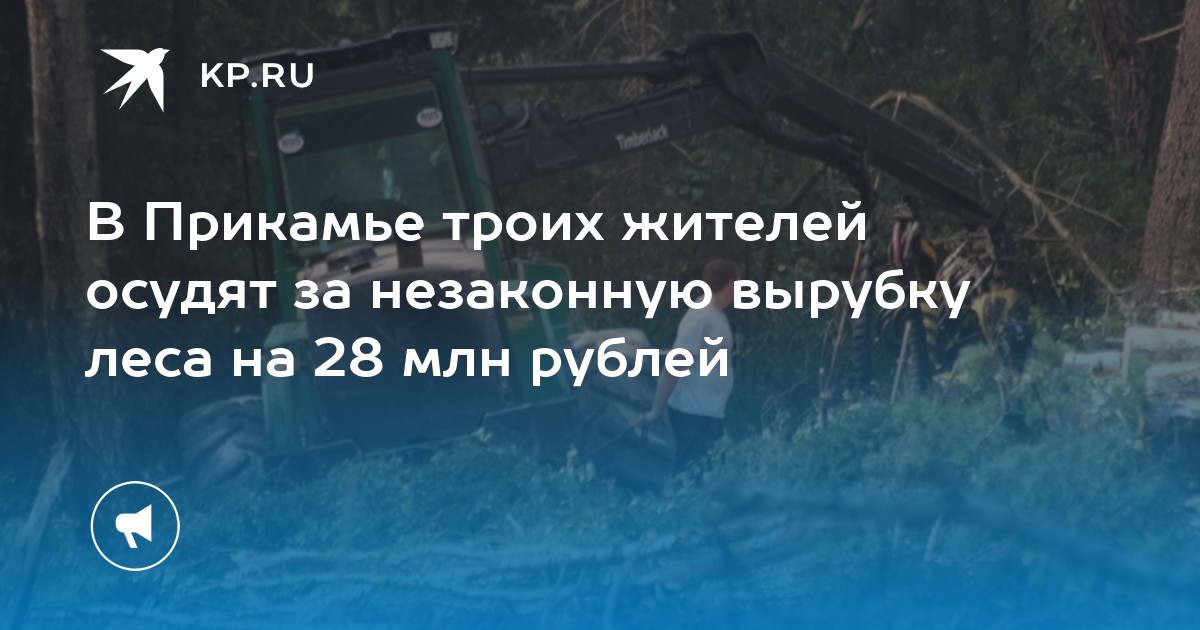 В Прикамье троих жителей осудят за незаконную вырубку леса на 28 млн рублей