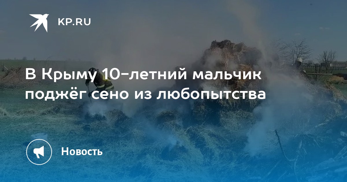 В Крыму 10-летний мальчик поджёг сено из любопытства