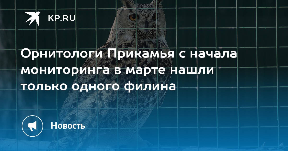 Орнитологи Прикамья с начала мониторинга в марте нашли только одного филина