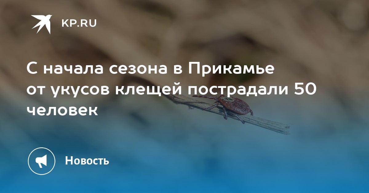 С начала сезона в Прикамье от укусов клещей пострадали 50 человек