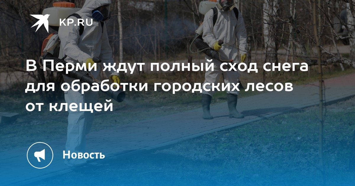 В Перми ждут полный сход снега для обработки городских лесов от клещей