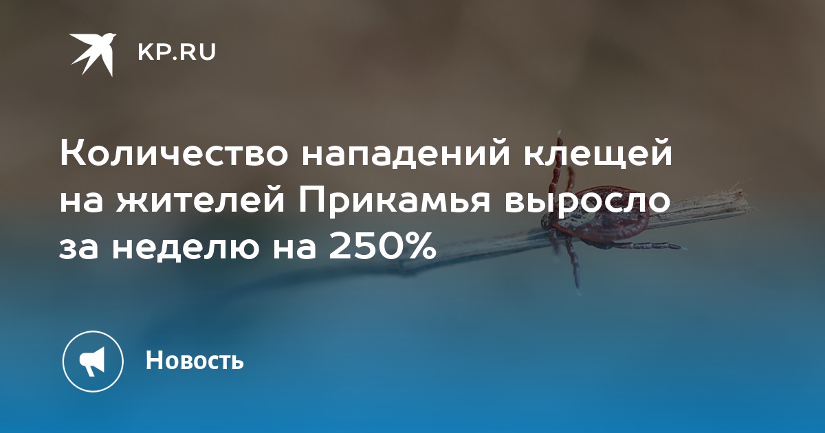 Количество нападений клещей на жителей Прикамья выросло за неделю на 250%
