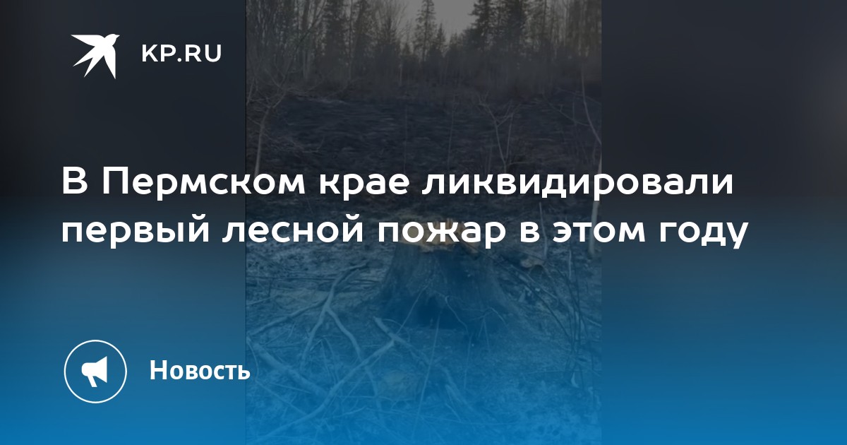 В Пермском крае ликвидировали первый лесной пожар в этом году