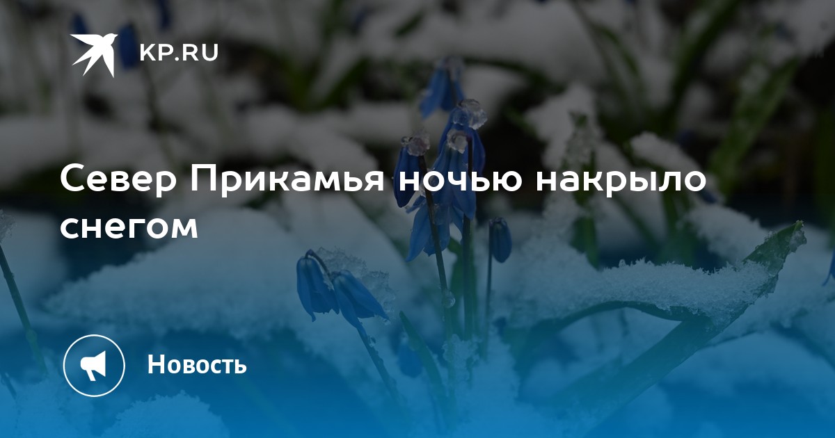 Север Прикамья ночью накрыло снегом