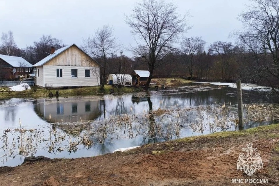 58 дворов в Удмуртии затопило во время паводка. Фото: МЧС Удмуртии