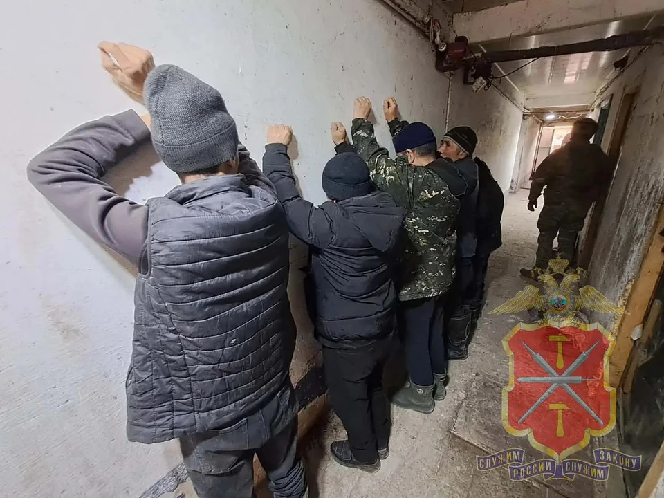 В Новомосковске выявили более 35 нарушений миграционного законодательства на сельхозпредприятиях.