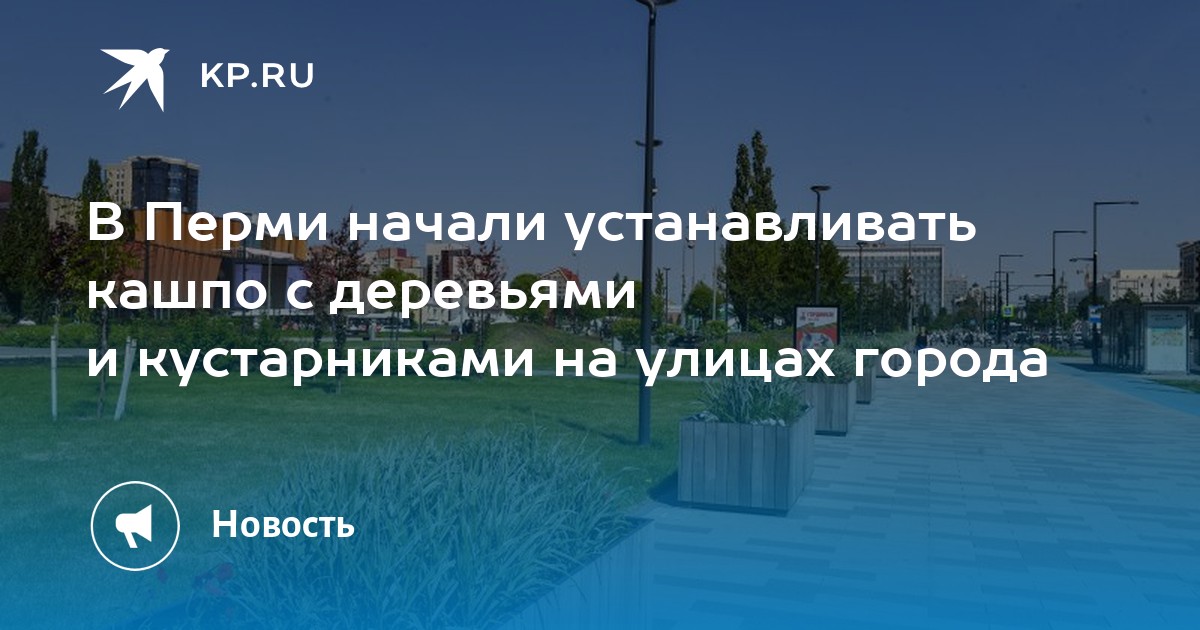 В Перми начали устанавливать кашпо с деревьями и кустарниками на улицах города