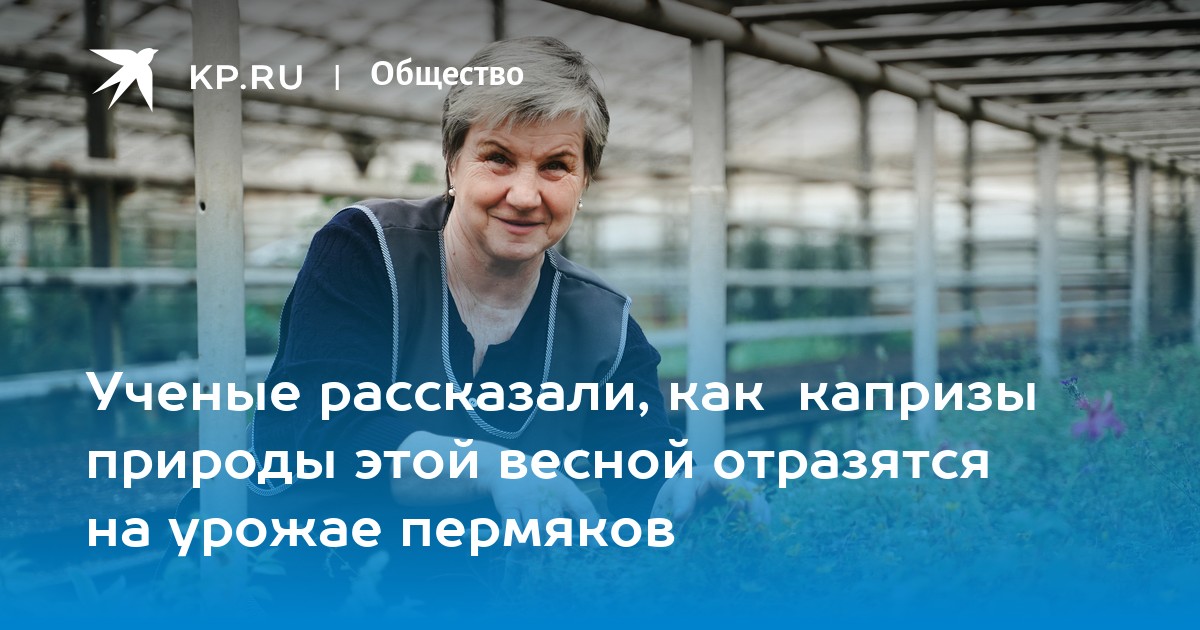 Ученые рассказали, как  капризы природы этой весной отразятся на урожае пермяков