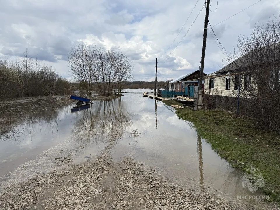 Фото: пресс-служба ГУ МЧС по Кировской области