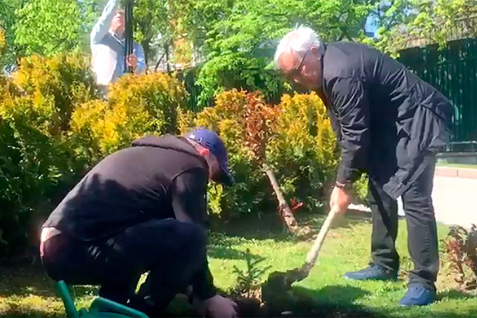 Кремлёвские ели будут расти в Анкаре