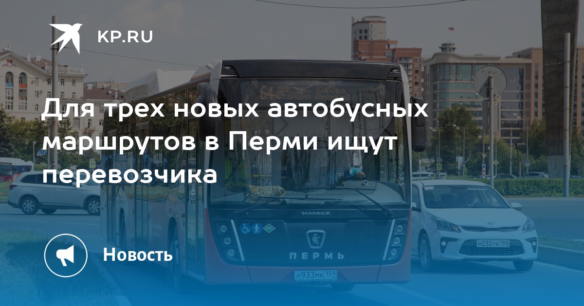 Для трех новых автобусных маршрутов в Перми ищут перевозчика