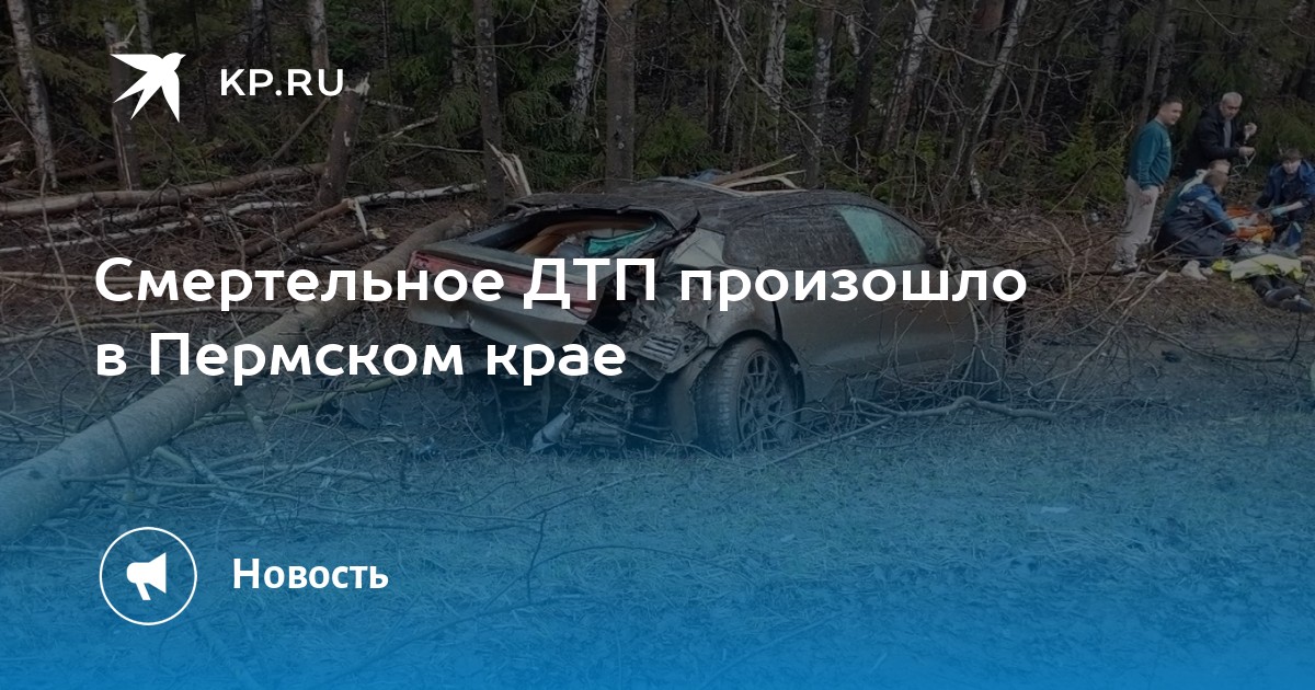 Смертельное ДТП произошло в Пермском крае