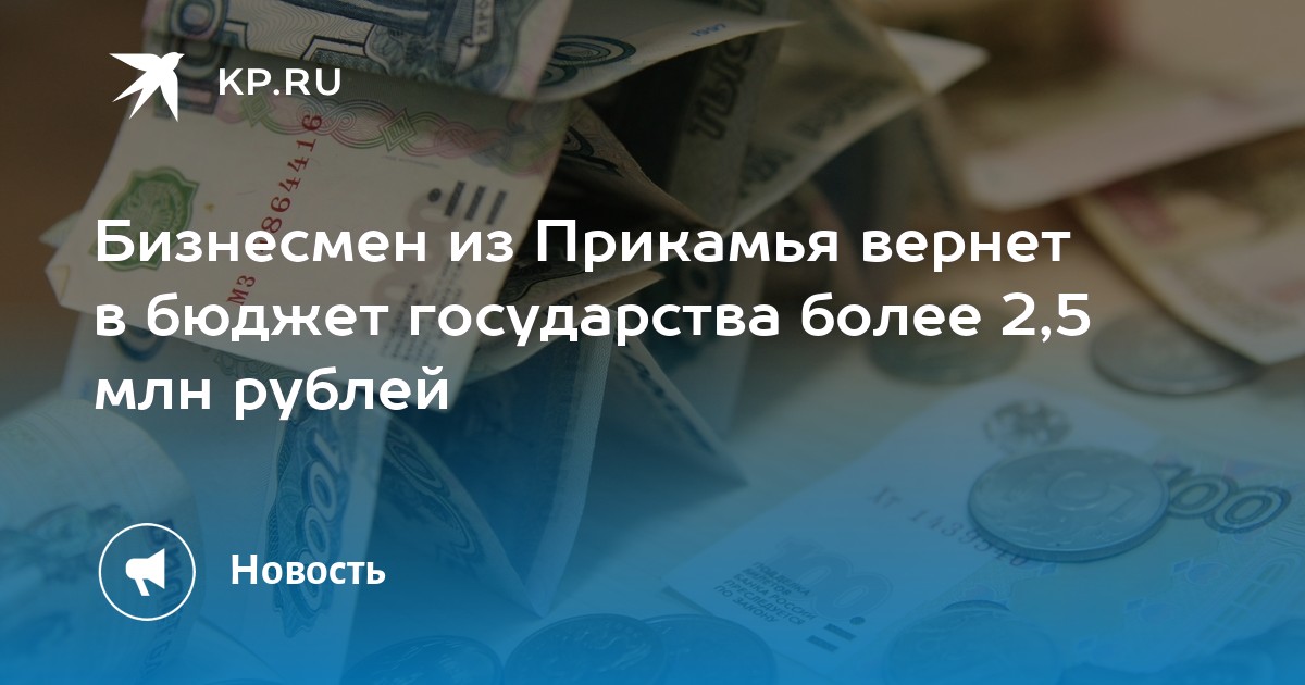 Бизнесмен из Прикамья вернет в бюджет государства более 2,5 млн рублей